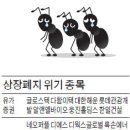 엔케이바이오 이미지