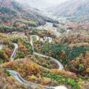 도마령 전망대 화장실 이미지