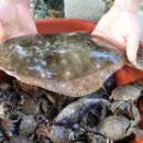 효자도 공중화장실 | 원산도 가볼만한곳 원산도 해수욕장 캠핑장 바닷가 서해 차박지 추천