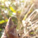 무진장농원 이미지