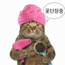공주의 혜성 사랑은 영원할 거야 🐥 우린 낭만이란 배를 타고 대구 갈 거야