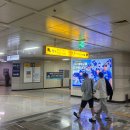 아자스포츠 | 라이온즈파크 어린이날 직관 후기