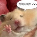프로골프샵 이미지