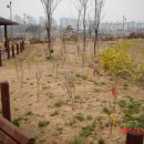 무궁화동산 화장실 이미지