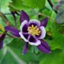 (주)아르누보종합건축사사무소 이미지