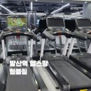 썬트레이너 이미지