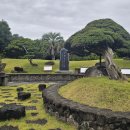 제주시크릿가든 이미지