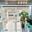 (주)한국반려동물아카데미 이미지