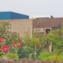 타베니스테이 이미지