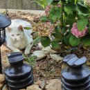 복주경매장 이미지