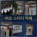 비오스터디까페 네이버블로그