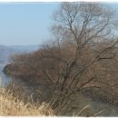 마법의 성 이미지