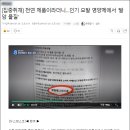 현직헤어디자이너가 말하는 신데렐라클리닉의 진실+ 곱슬머리관리 방법 등 이미지