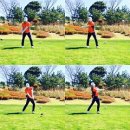 탑 골프 아카데미 이미지