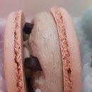 비비드마카롱 이미지