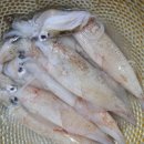 한치로2 네이버블로그