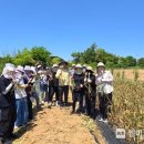 완주군 보건소 이미지