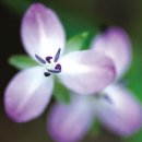 국토토지행정사사무소 이미지