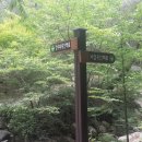 비파산성 Daum카페