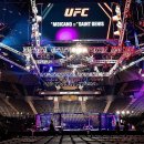 UFC 파리: 모이카노 vs 생드니 게이트 수입 이미지