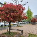 돌담경로당 이미지