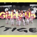 케이타이거즈(KTIGERS) 태권도장 이미지