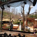 율동주유소 이미지