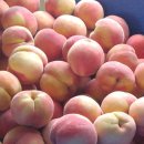 향로농장 이미지