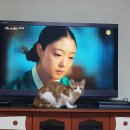 능곡역 1번출구 이미지