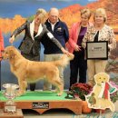 BOSS켄넬 이미지