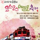 제7회 하동북천코스모스메밀꽃축제 이미지