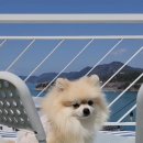 더칠월펜션 이미지