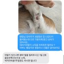 고흥미소동물병원 이미지