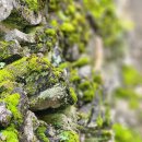 구룡포화장장 이미지