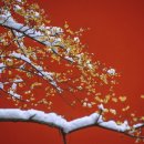 수 덕 정 이미지