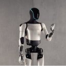 인공지능과 인간의 미래 이미지