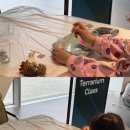 원예 테라리움 이미지