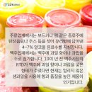 코이파트너스