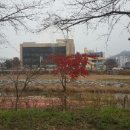 춘수농장 이미지