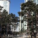 동부공인중개사무소 이미지