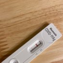 청계보건진료소 | 코로나 검사, 양성이면 연락이 늦어진다??? (+월드컵공원 선별진료소)