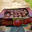 봉자농장 이미지