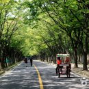 인천대공원(인천목재문화체험장) 이미지