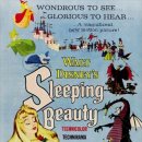 동화발레 <잠자는 숲속의 미녀> 이미지