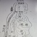 동의보감요약정리 ㅡ435편 이미지