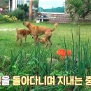 인혜농장 이미지