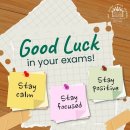 Good luck with your (I)GCSE exams, Year 11 - you’ve got this! 👍💪💯 이미지