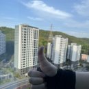 판교대장로5길 | 판교 유리창 청소 대장동 유리난간 청소업체 힐스테이트판교엘포레 후기 비용