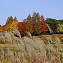 올림픽공원 이미지