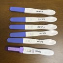 임신 주차별 입덧과의 전쟁